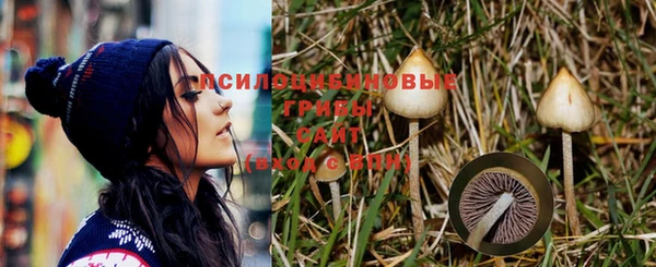 эйфоретик Михайловка