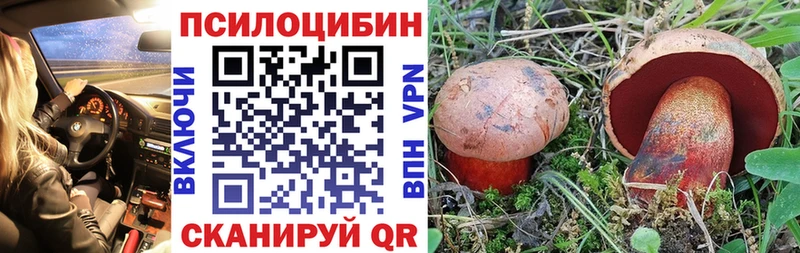 Псилоцибиновые грибы Psilocybine cubensis Нефтеюганск
